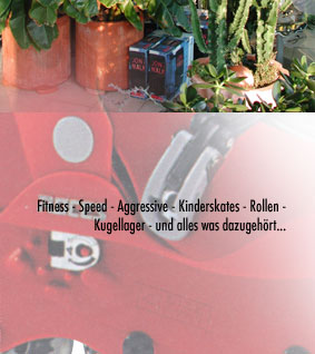 Der Shop