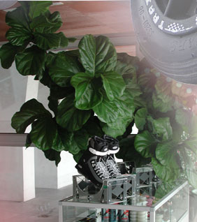 Der Shop